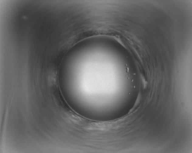 X0000069810033200605221216