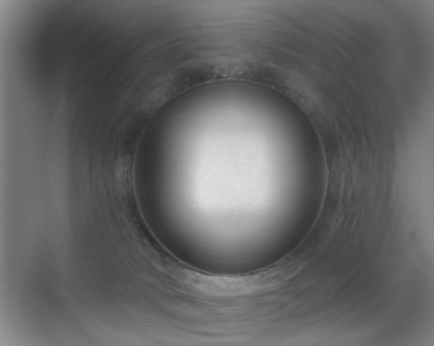 X0000069810034200605221216