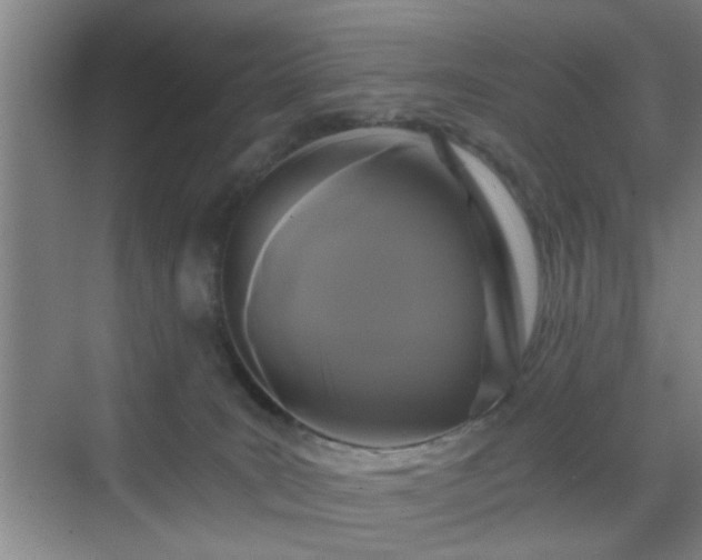 X0000069810035200605221216