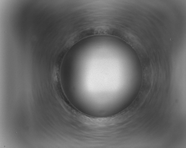 X0000069810038200605221216