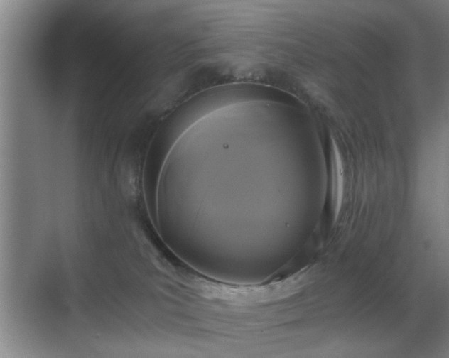 X0000069810039200605221216