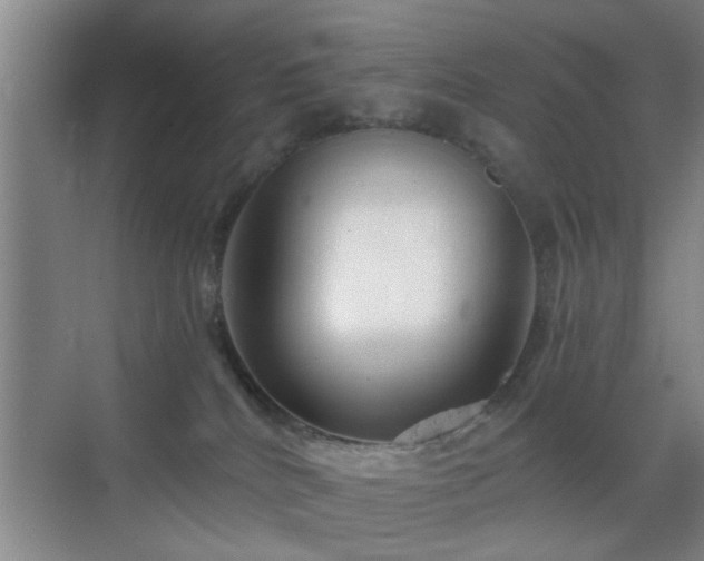 X0000069810040200605221216