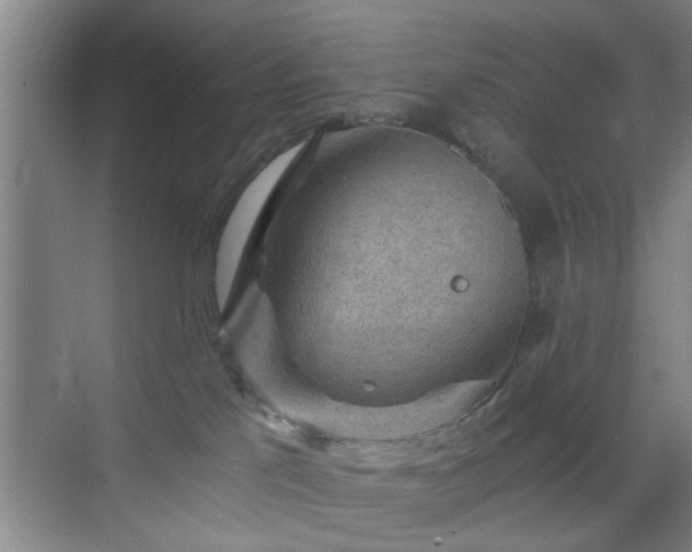 X0000069810041200605221216