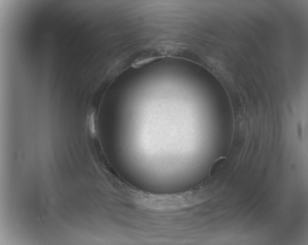 X0000069810042200605221216