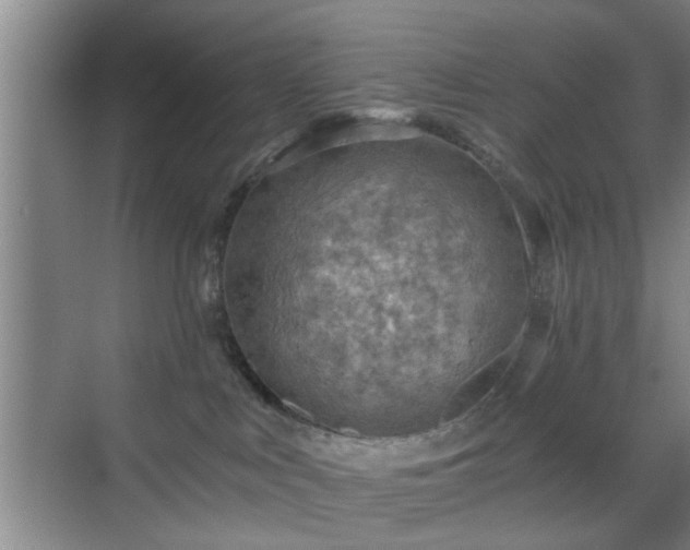 X0000069810043200605221215