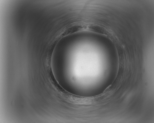 X0000069810044200605221215