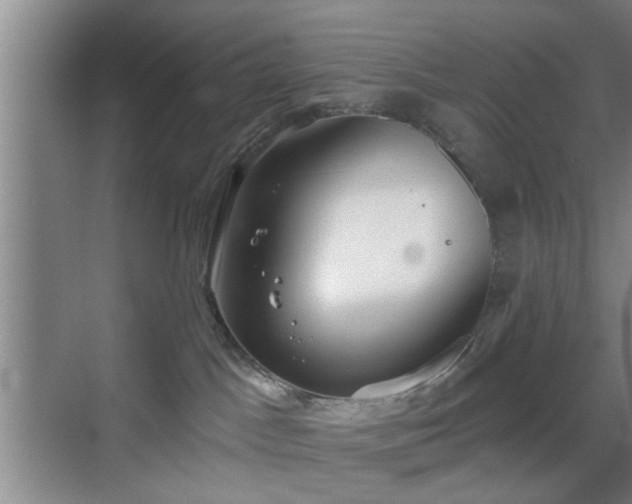 X0000069810045200605221215