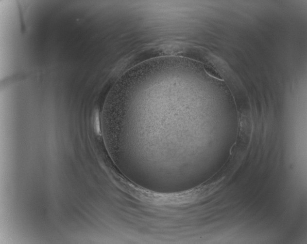 X0000069810046200605221215