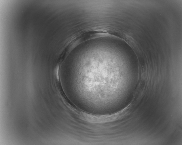 X0000069810047200605221215