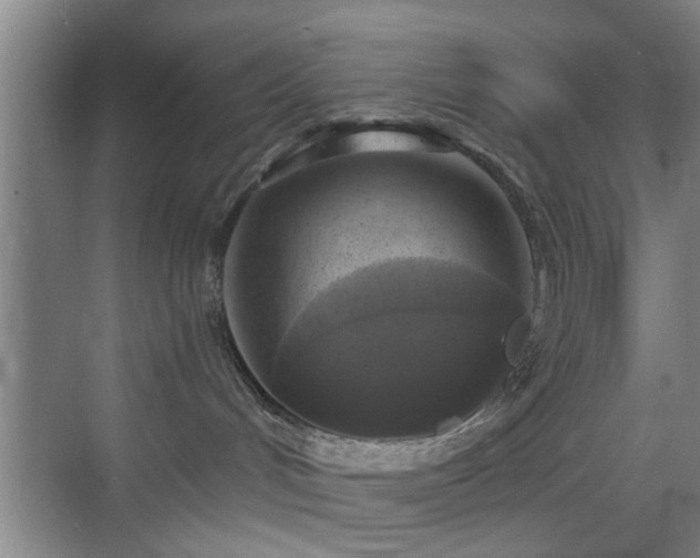 X0000069810048200605221215