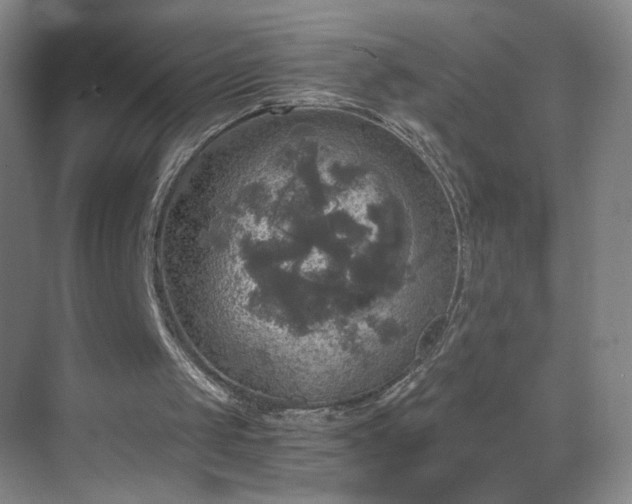 X0000069810049200605221215