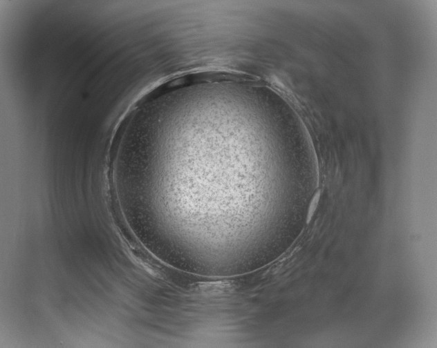 X0000069810050200605221215