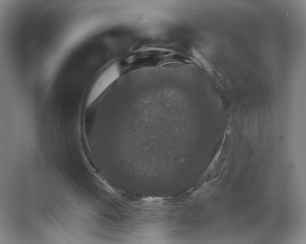 X0000069810052200605221215