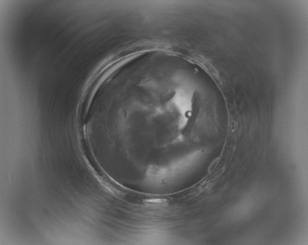 X0000069810053200605221215