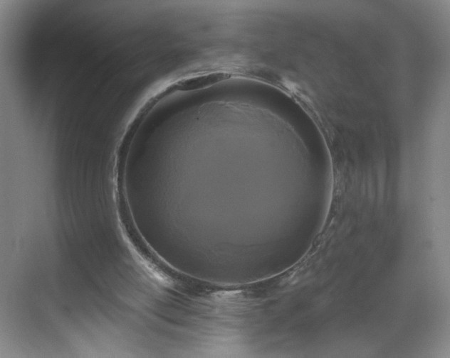 X0000069810054200605221215