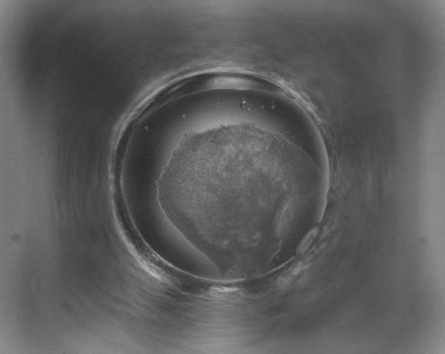 X0000069810055200605221215