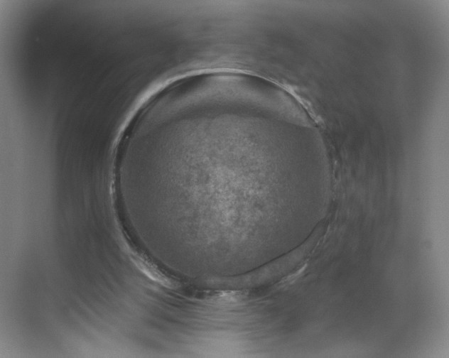 X0000069810056200605221215