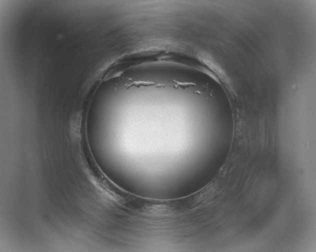 X0000069810058200605221215