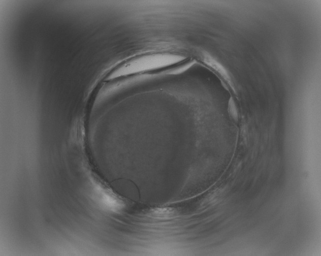 X0000069810059200605221215