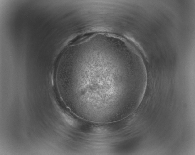 X0000069810062200605221215