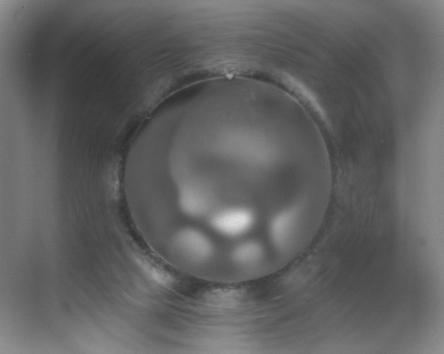 X0000069810065200605221215