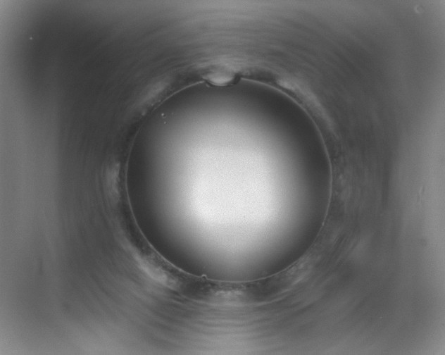 X0000069810066200605221215