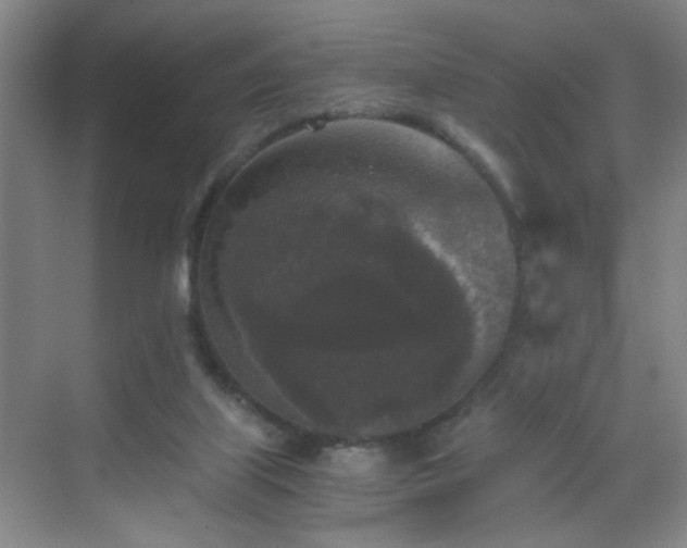 X0000069810067200605221215