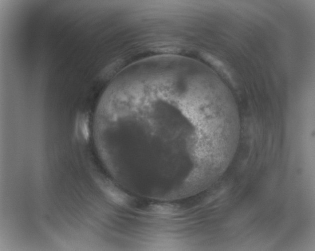 X0000069810069200605221215