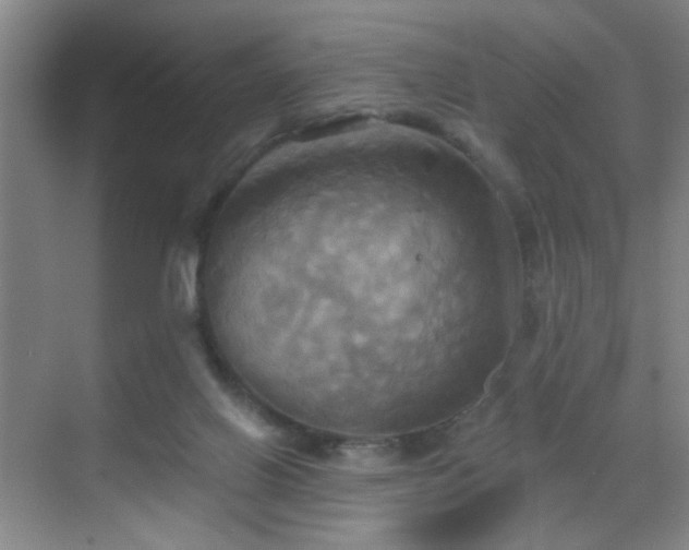 X0000069810070200605221215