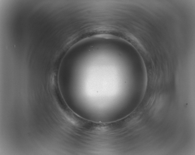 X0000069810071200605221215