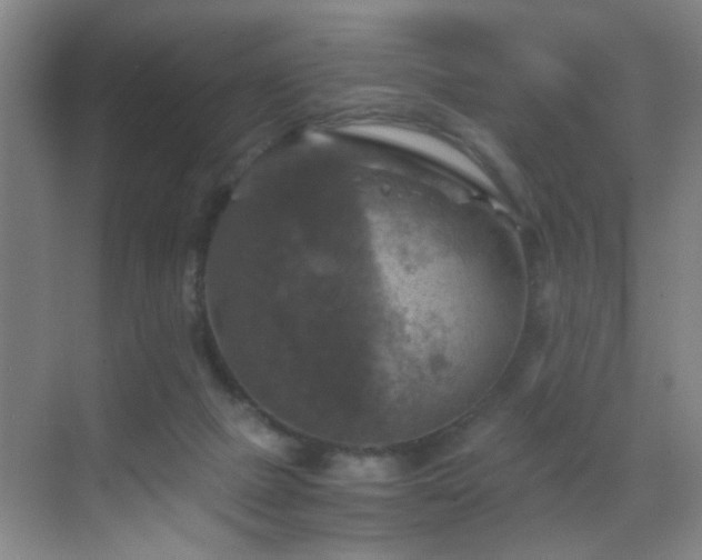 X0000069810073200605221215