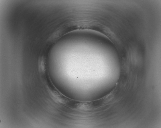 X0000069810074200605221215