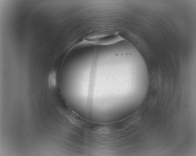 X0000069810075200605221215