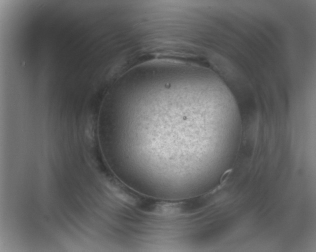 X0000069810078200605221215