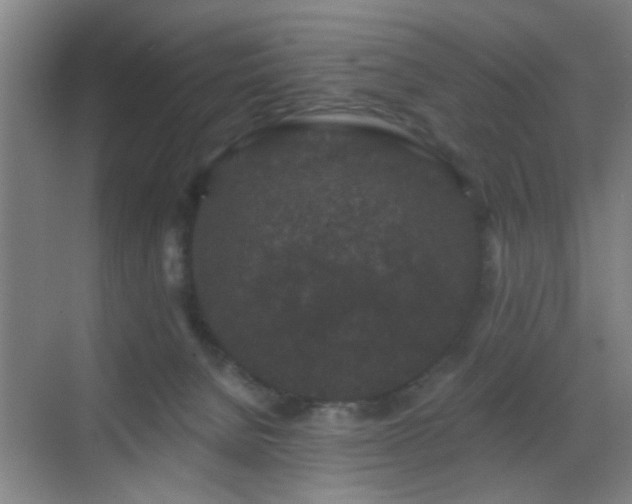 X0000069810080200605221215