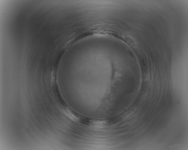 X0000069810081200605221215