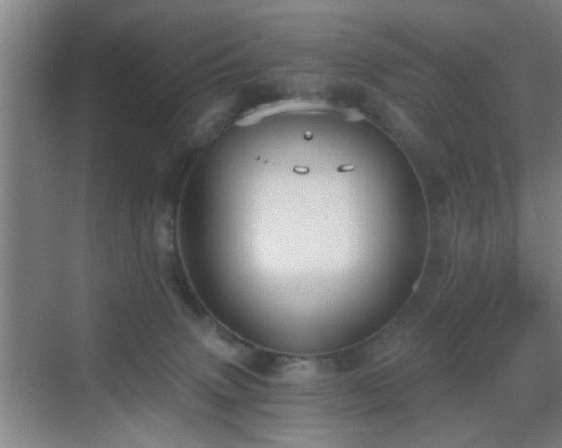 X0000069810083200605221215