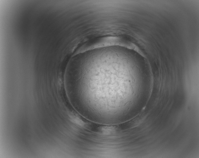 X0000069810085200605221215