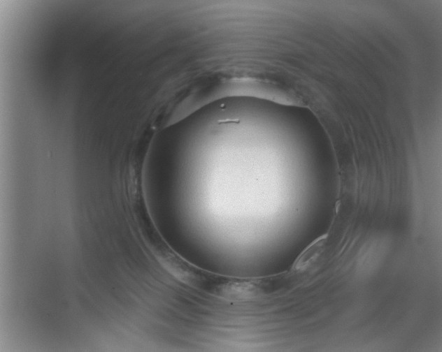 X0000069810086200605221215