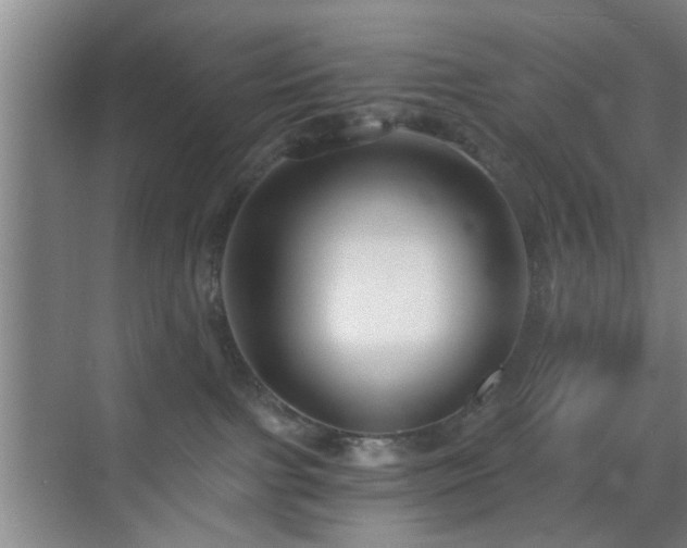 X0000069810091200605221215