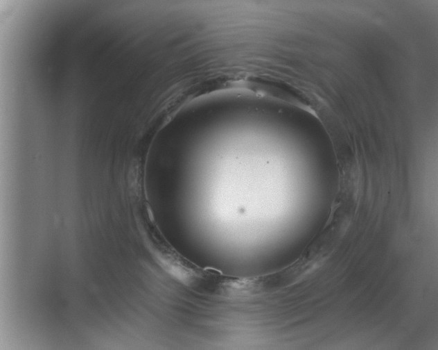 X0000069810092200605221215