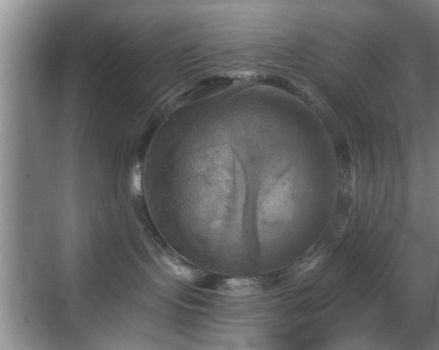 X0000069810095200605221215