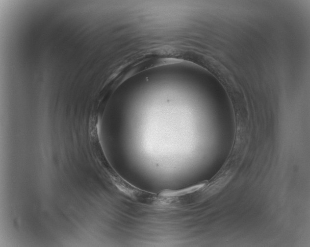 X0000069810096200605221215