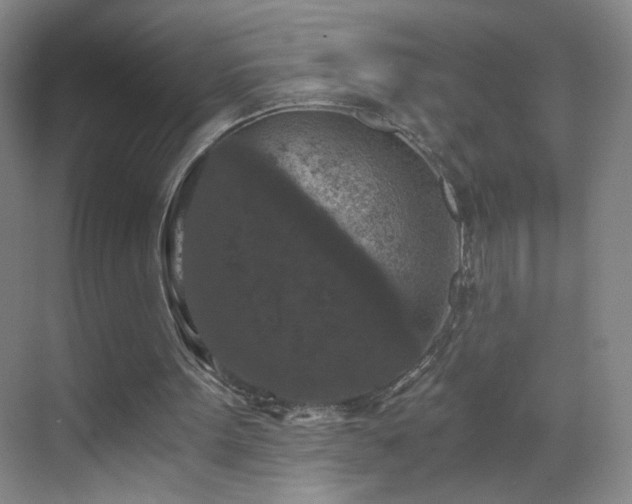 X0000069810099200605221215