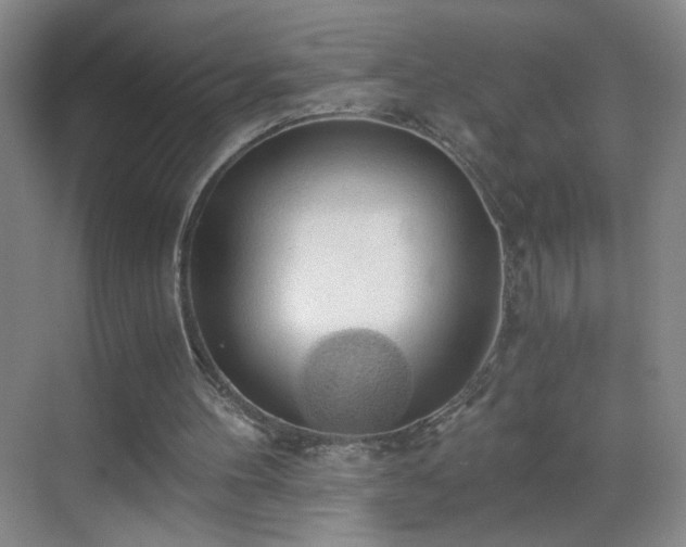 X0000069810100200605221215