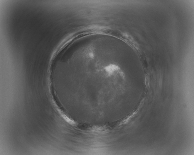 X0000069810101200605221214