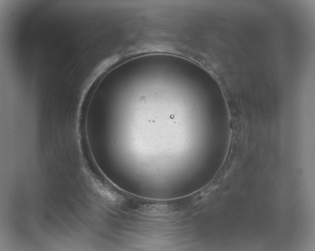 X0000069810104200605221214