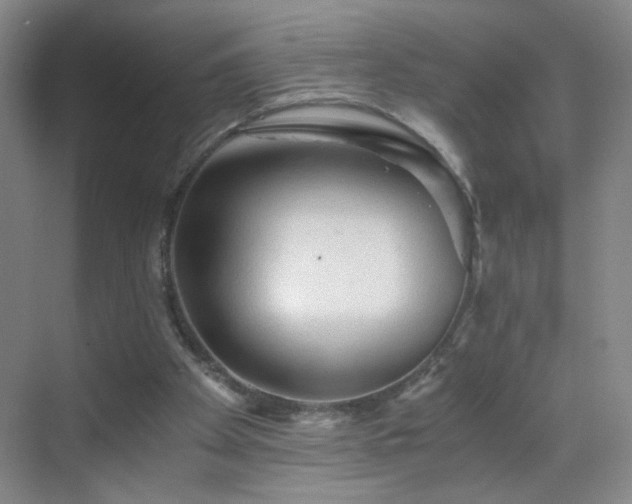 X0000069810105200605221214