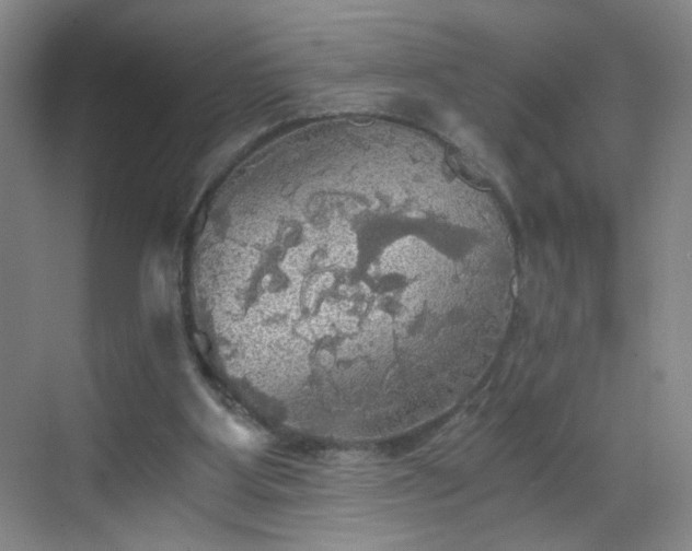 X0000069810107200605221214