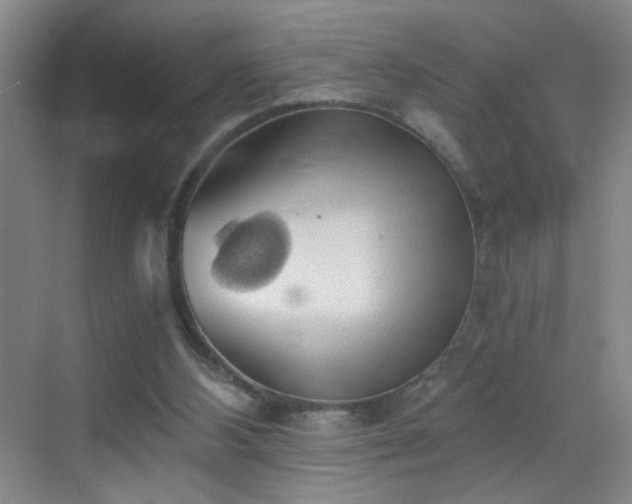 X0000069810108200605221214